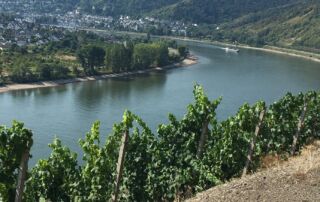 Crucero por el rhin